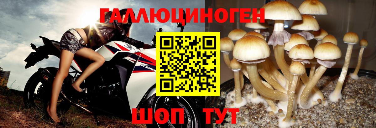 Коряжма  Псилоцибиновые грибы ЛСД  Вход с VPN 