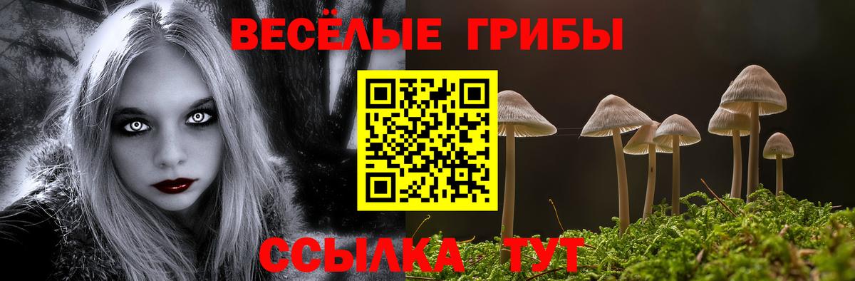 Экстази  ГАШИШ  Цена  МЕТ  НБОМе  Мефедрон   Коряжма  КОКАИН  Вход с VPN  Каннабис 